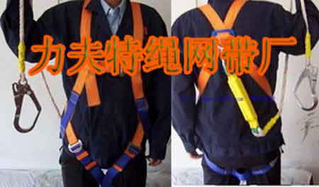 safety harness,
safety belt