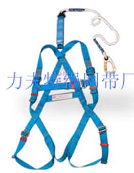 safety harness,
safety belt