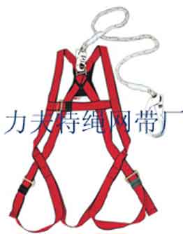 safety harness,
safety belt