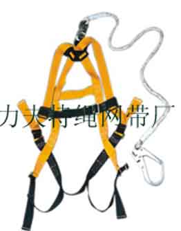 safety harness,
safety belt