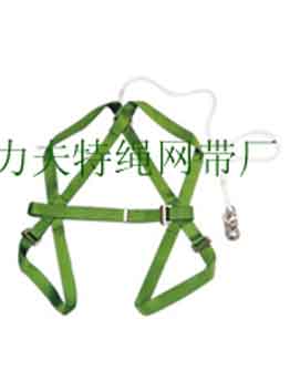 safety harness,
safety belt