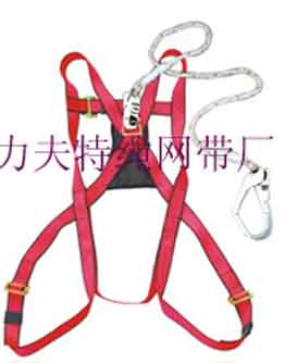 safety harness,
safety belt