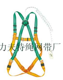 safety harness,
safety belt