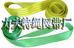 endless Polyester webbing sling