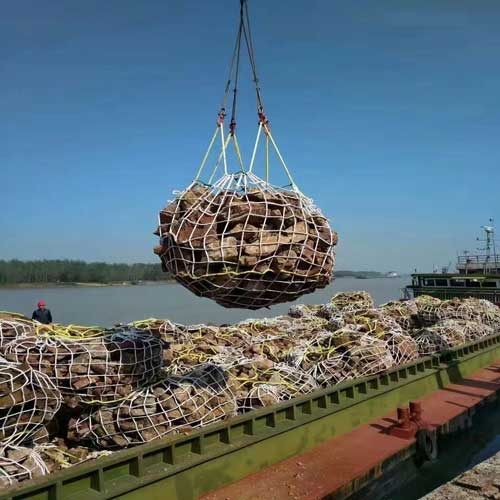 River interception and stone throwing rope net